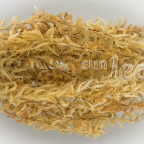 Мох для посадки неофинетии фуран фукиран