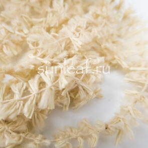 Мох-тесьма для неофинетий