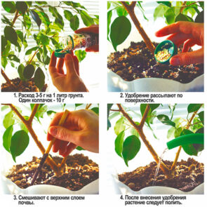 JOY "ТРИО МИКС Балконные цветы"