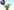 dendrobium-moniliforme-touen