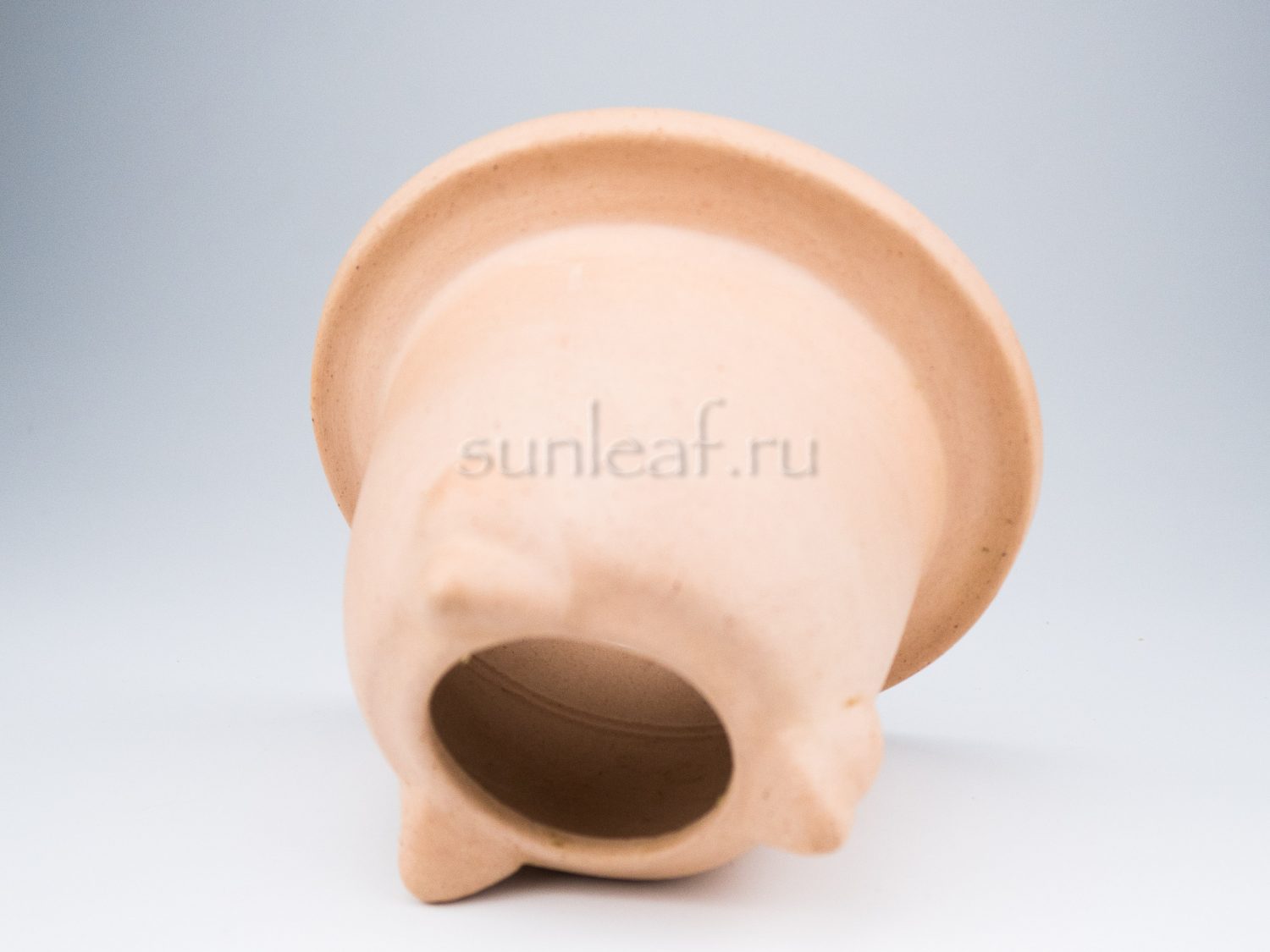 Горшок для неофинетии