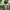 Sunleaf_Larisa_Klyueva_Garden Sunleaf_Larisa_Klyueva_Garden