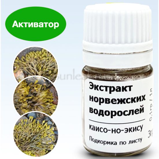 ekstrakt-norvezhskikh-vodorosley